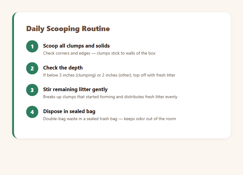 Four-step daily cat litter scooping routine — scoop clumps, check depth, stir, dispose