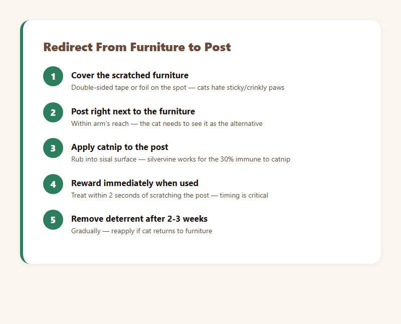 Five-step process to redirect cat scratching from furniture to a post